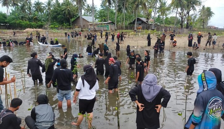 Aksi Menawan 253 Relawan Muda Menanam Mangrove di Bulukumba