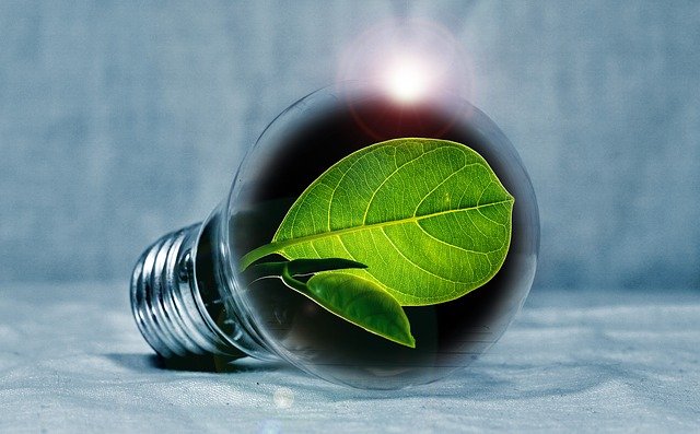 Capres-Cawapres 2024 - 2029 Didesak Kaji Ulang Kebijakan Bioenergi Berbasis Hutan