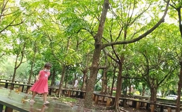 Aku, Pohon Dao, dan Cerita Saat Bersantai di Hutan Kota Unhas