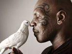 Mike Tyson dan Sekumpulan Quotes tentang Burung Merpati