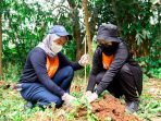 Peran Bambu sebagai Tanaman Konservasi untuk Lingkungan yang Asri