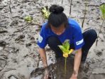Bagaimana Ekosistem Mangrove Berperan Mengatasi Perubahan Iklim?