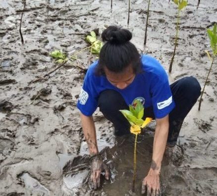 Bagaimana Ekosistem Mangrove Berperan Mengatasi Perubahan Iklim?
