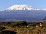 Salju Kilimanjaro, Mungkin Hanya Ada dalam Cerpen Ernest Hemingway