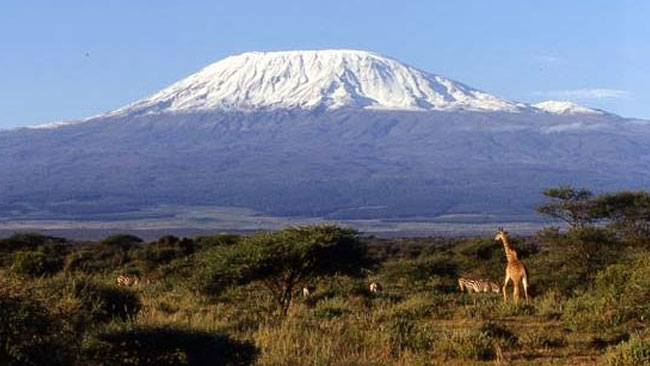 Salju Kilimanjaro, Mungkin Hanya Ada dalam Cerpen Ernest Hemingway