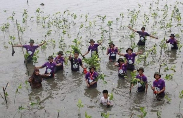 Meriah, Pengurus Filatelis Indonesia Sulsel Tanam Mangrove di Lantebung