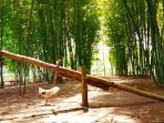 Melirik Potensi Bambu dari Momen Hari Bambu se-Dunia 2022