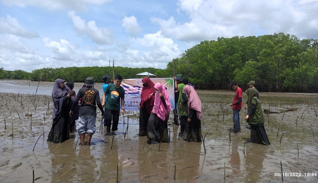 Jaga Keseimbangan Iklim Melalui Transplantasi Karang dan Penanaman Mangrove