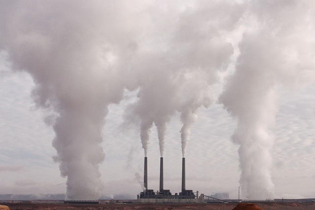 Memahami Tata Cara Perdagangan Karbon