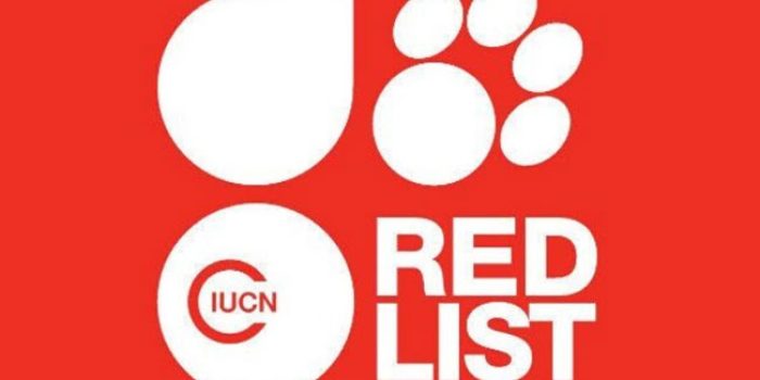 Mengenal Daftar Merah IUCN, Latar Belakang dan Sejarahnya