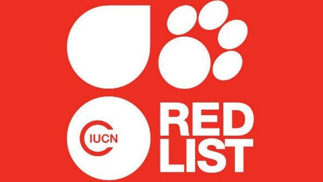 Mengenal Daftar Merah IUCN, Latar Belakang dan Sejarahnya