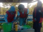 Di Tandabaca, Mahasiswa KKN Unhas Berbagi Pengetahuan Pembuatan POC dan Pestisida Nabati