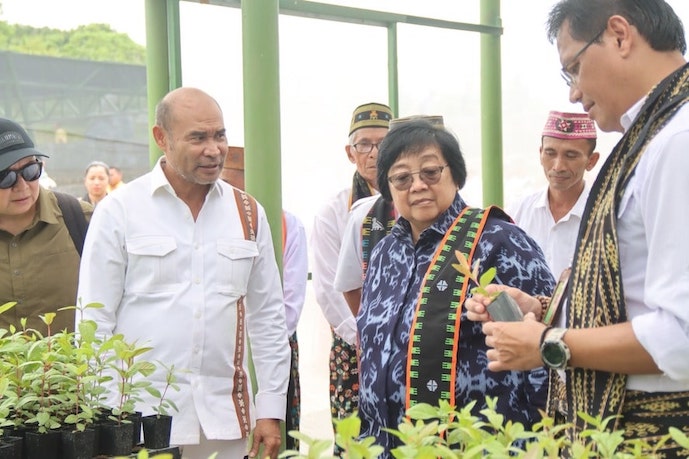Gubernur NTT Siap Kembangkan Bambu sebagai Tanaman Agroforestry