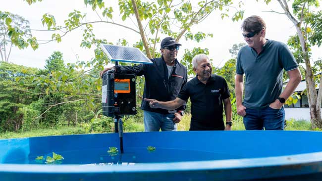 Indosat dan GSMA Berkolaborasi dalam Digitalisasi Konservasi Mangrove