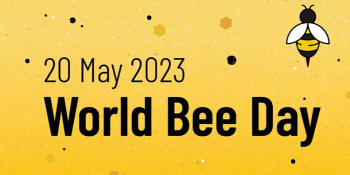Selamat Hari Lebah Sedunia (World Bee Day)