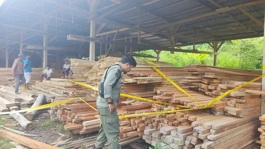 Balai Gakkum LHK Wilayah Sulawesi Amankan Industri Kayu Ilegal di Mamasa