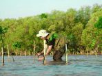 Mangrove sebagai Pelindung Alami Garis Pantai