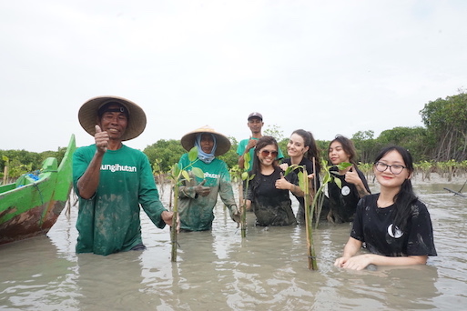 Mengulik Misi Peduli Lingkungan LindungiHutan untuk Hutan Indonesia
