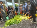 Desa Palakka Jadi Contoh: Kebun Pekarangan Ubah Wajah Ketahanan Pangan di Bone