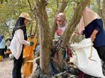 Para relawan melepaskan plastik yang menjerat mangrove wonorejo